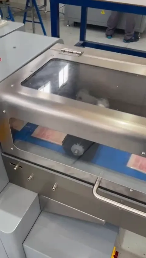 Cuerpo de la envasadora con la protección transparente y la cinta de salida azul