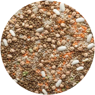 Legumbres y cereales