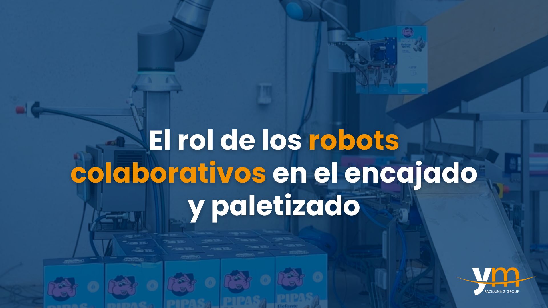 El rol de los robots colaborativos en el encajado y paletizado