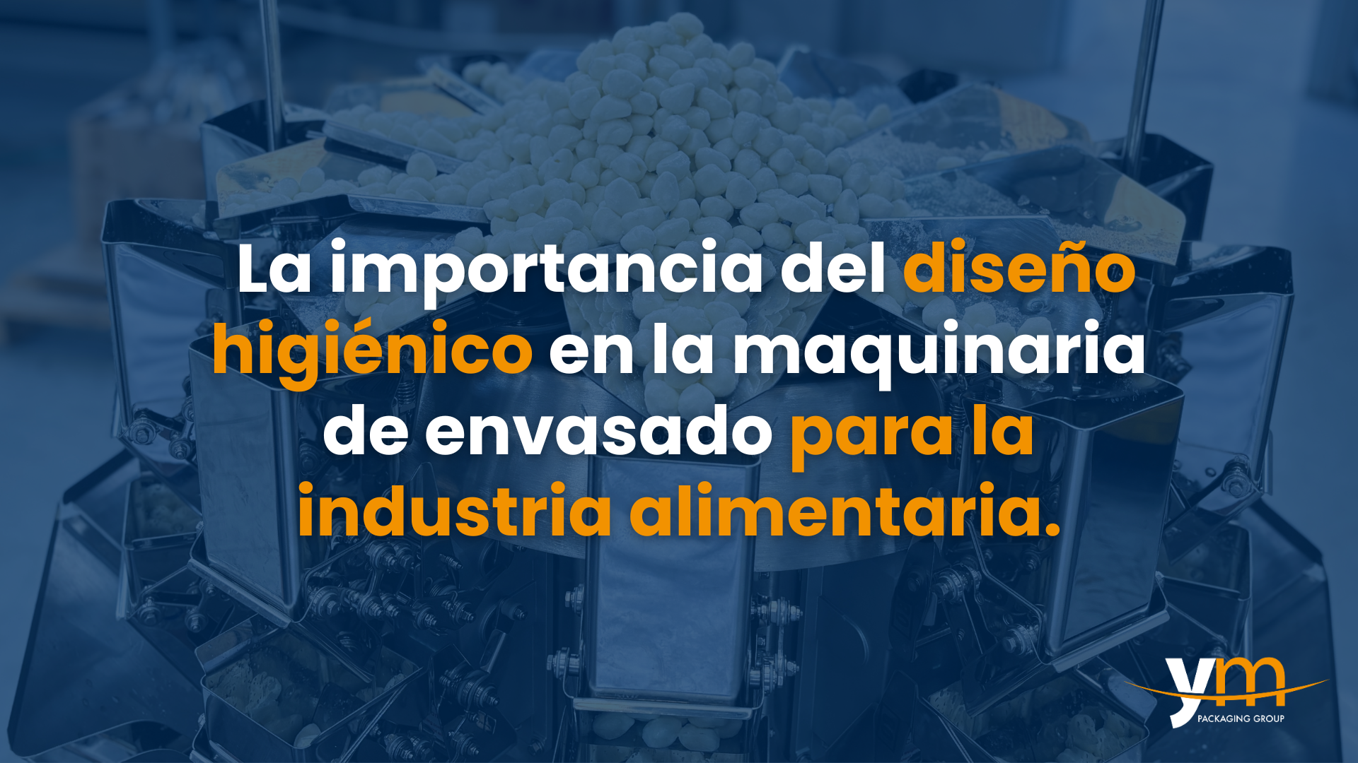 The importance of hygienic design in packaging machinery for the food industry
